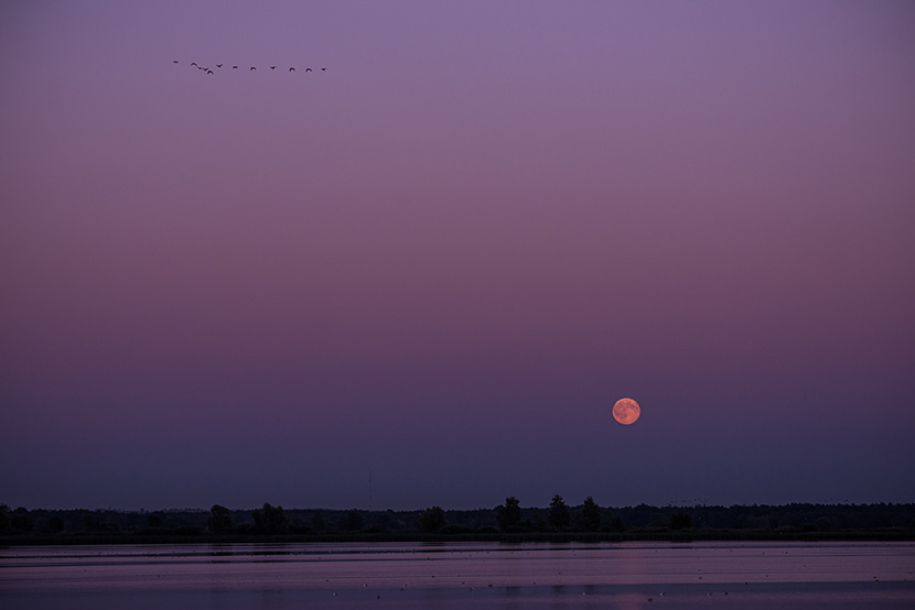 Once in a blue moon 31.07.2015r. 2 Once in a blue moon 31.07.2015r. 2