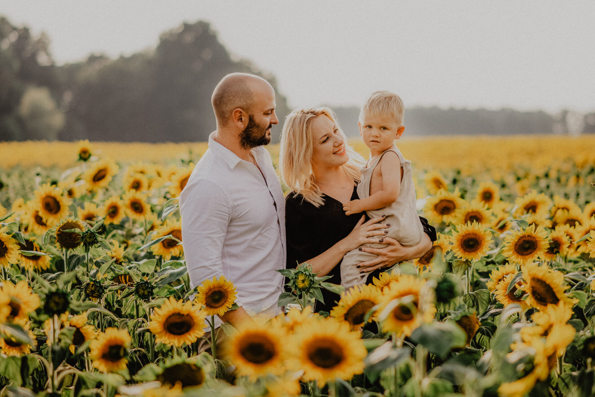 Rodzinna sesja zdjęciowa w słonecznikach - Ostrów Wielkopolski 3 sesja rodzinna w słonecznikach