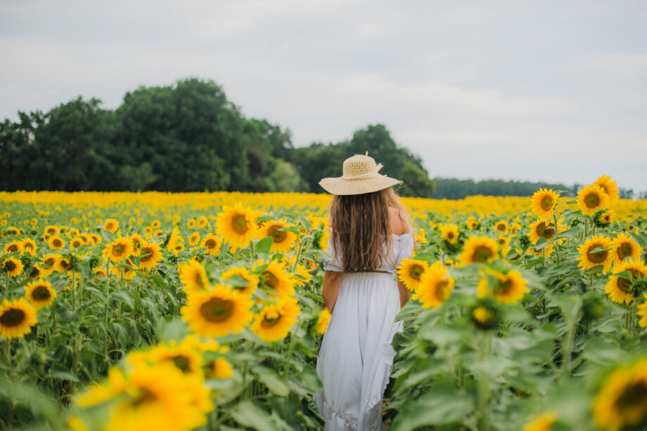 Kobiecość w słonecznikach | Dolina Baryczy 4 Dolina Baryczy - Kobiecość w słonecznikach